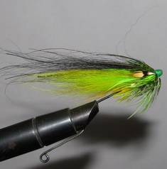 ���� ������� ���� Chartreuse Fighter ( ��� ������ )